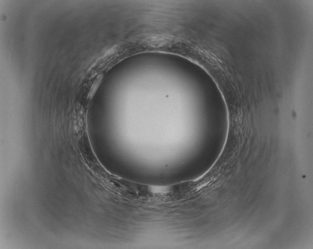 X0000068261349200604211034