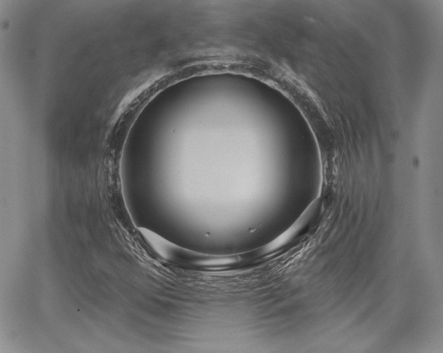 X0000068261352200604211034