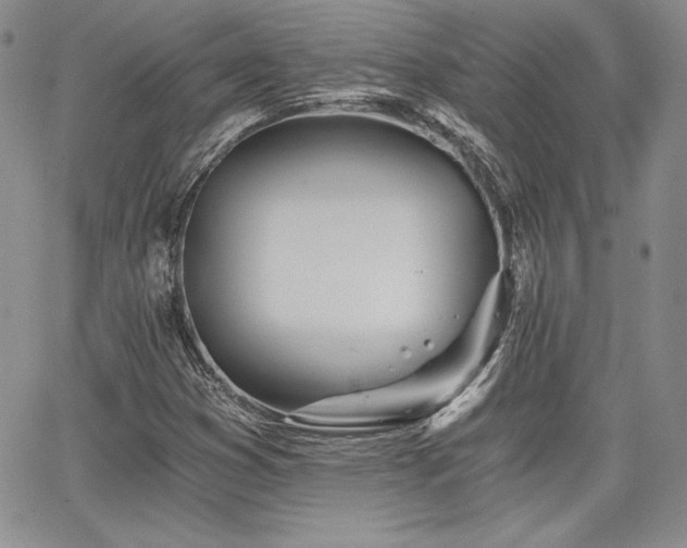 X0000068261353200604211034