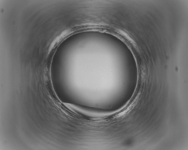 X0000068261357200604211034