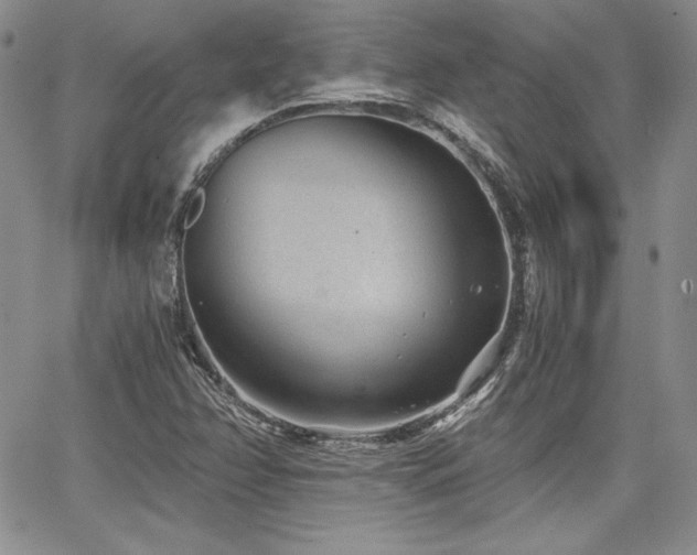 X0000068261358200604211034