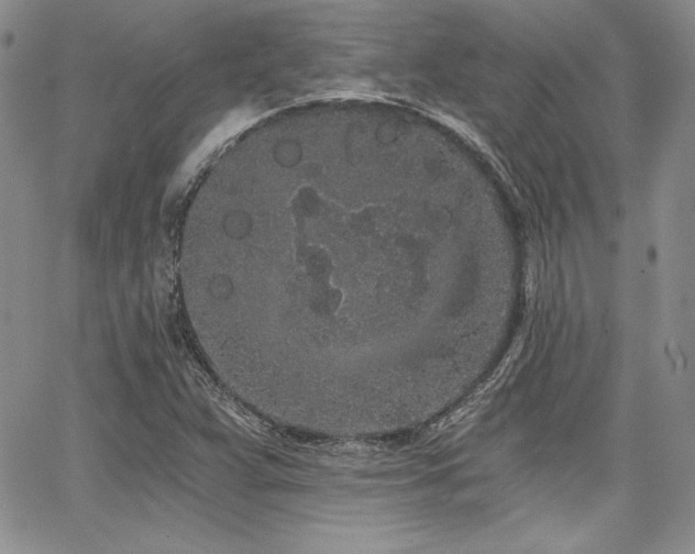 X0000068261359200604211034