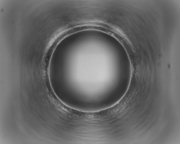 X0000068261360200604211034