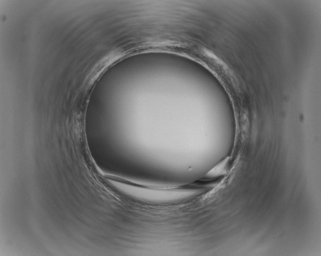 X0000068261361200604211034