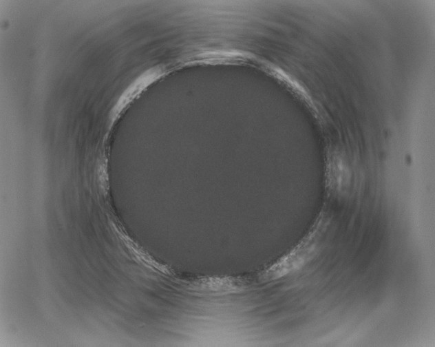 X0000068261362200604211034