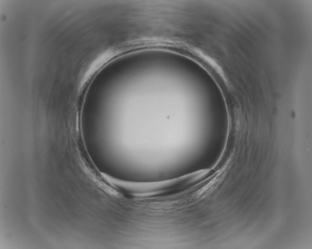 X0000068261365200604211034