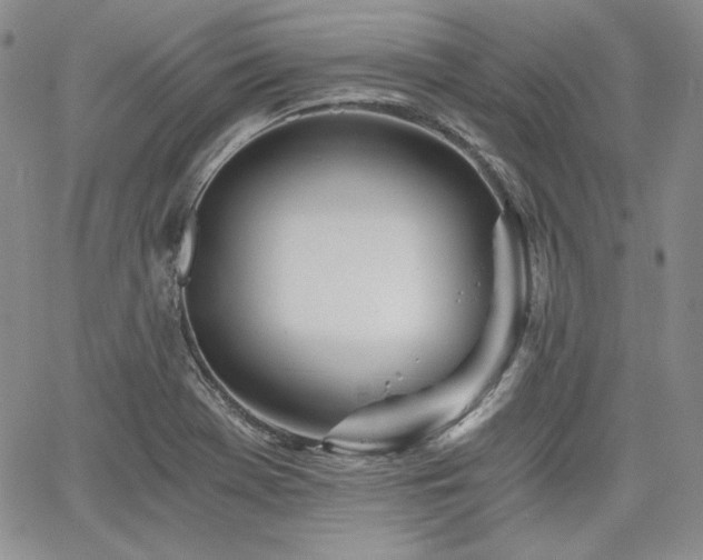 X0000068261369200604211033