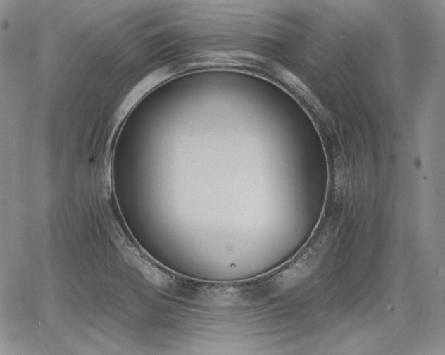 X0000068261370200604211033