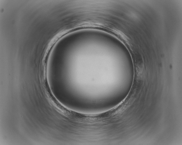 X0000068261371200604211033