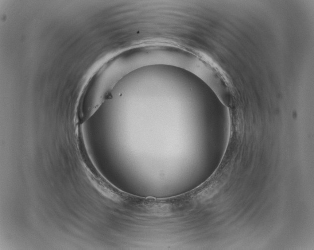 X0000068261372200604211033