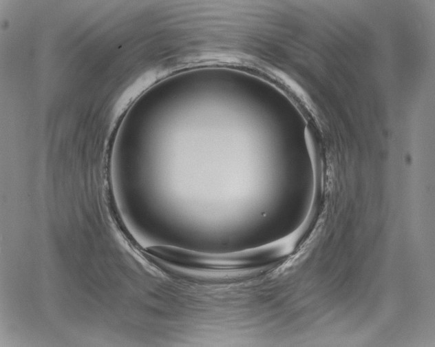 X0000068261373200604211033