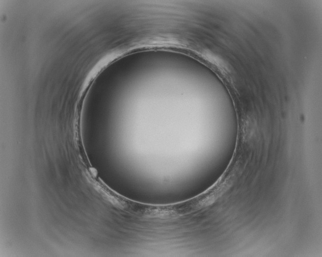 X0000068261374200604211033