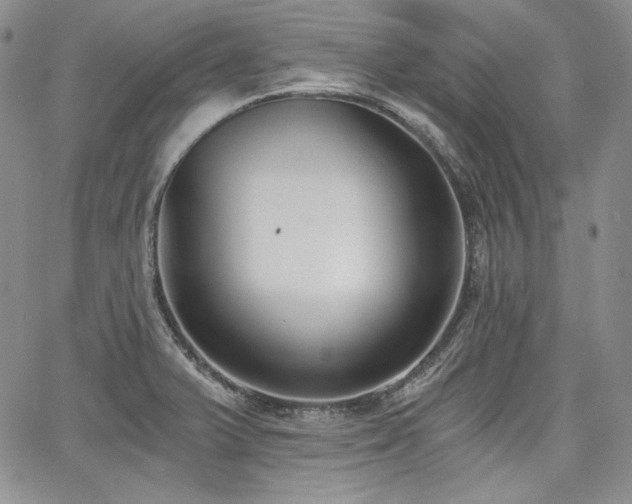 X0000068261375200604211033