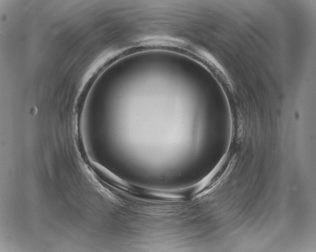 X0000068261376200604211033