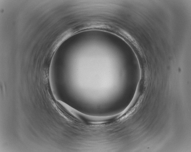 X0000068261377200604211033