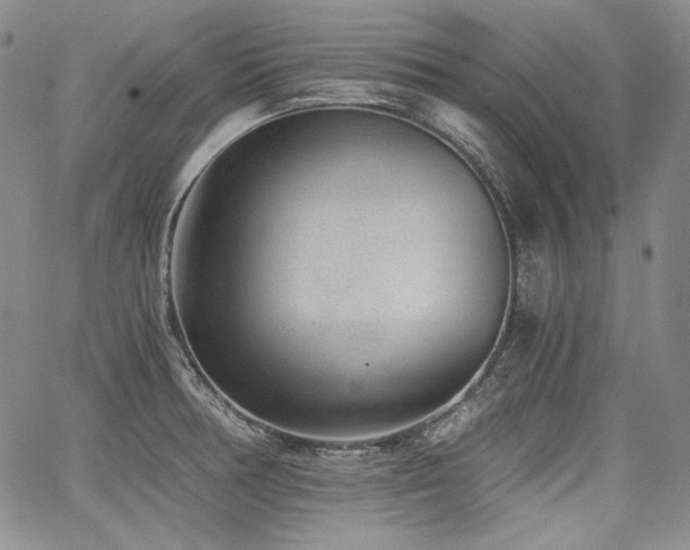 X0000068261378200604211033