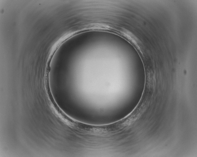 X0000068261379200604211033