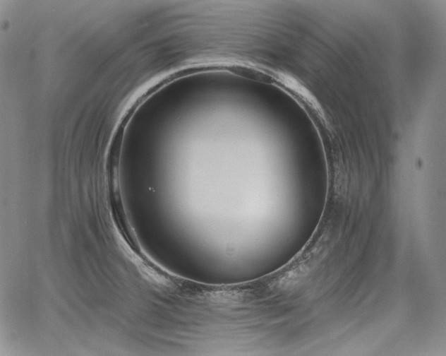 X0000068261380200604211033