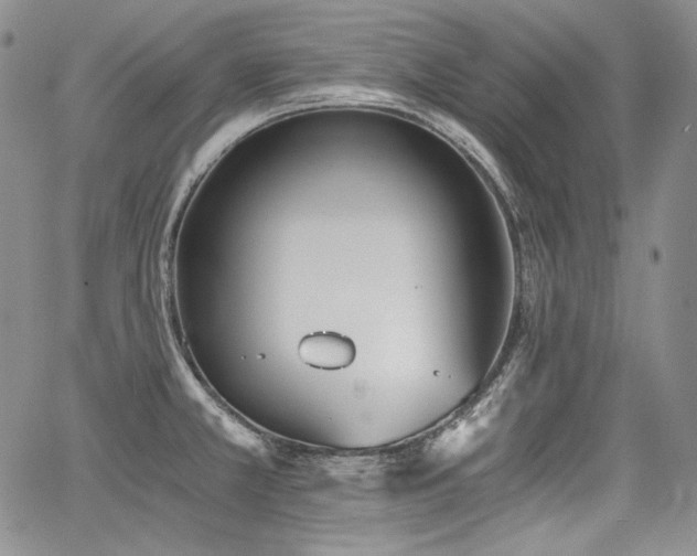 X0000068261381200604211033