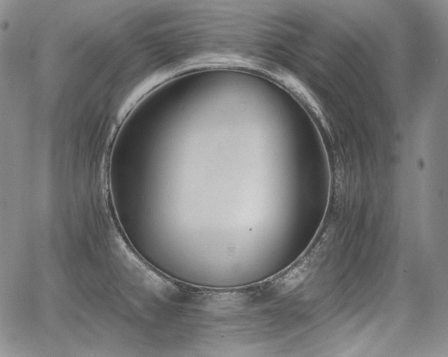 X0000068261382200604211033