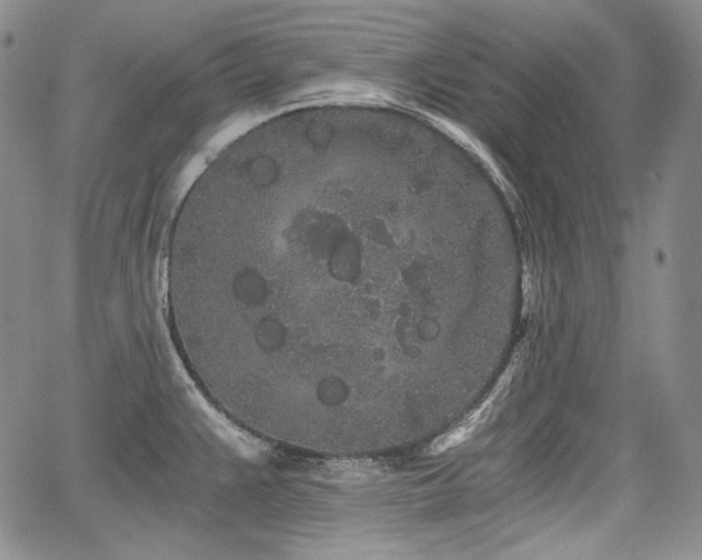 X0000068261383200604211033