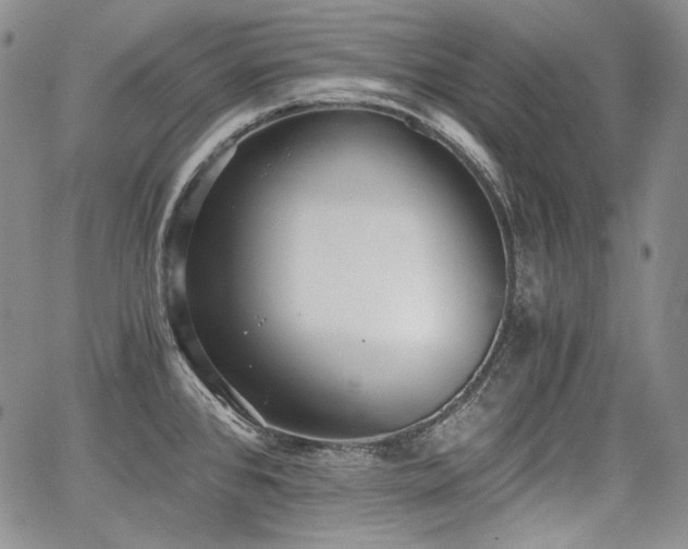 X0000068261384200604211033