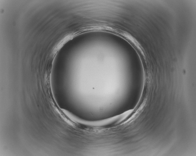 X0000068261385200604211033