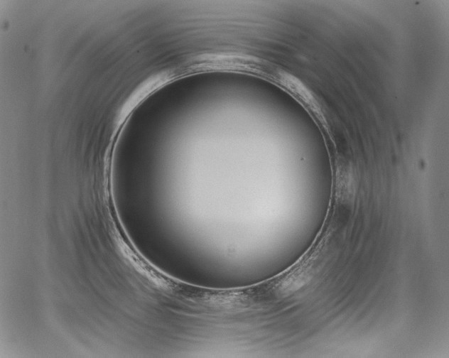 X0000068261386200604211033