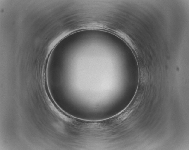 X0000068261387200604211033