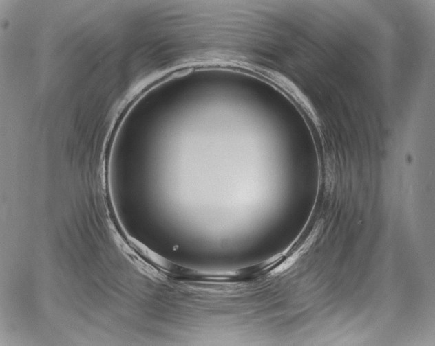 X0000068261388200604211033