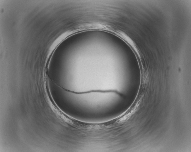 X0000068261389200604211033