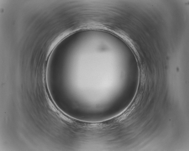 X0000068261390200604211033