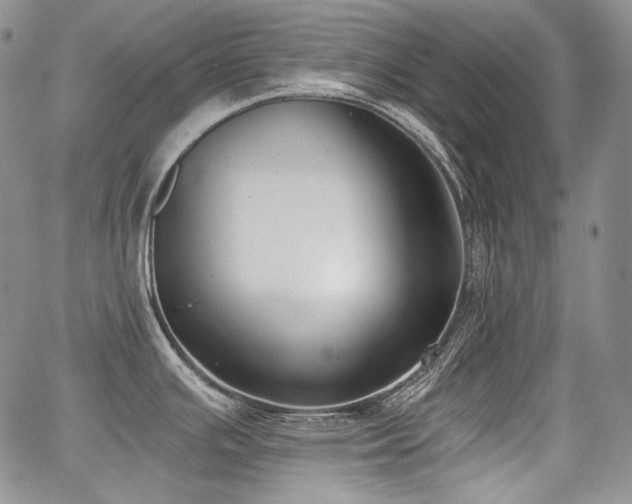 X0000068261391200604211033