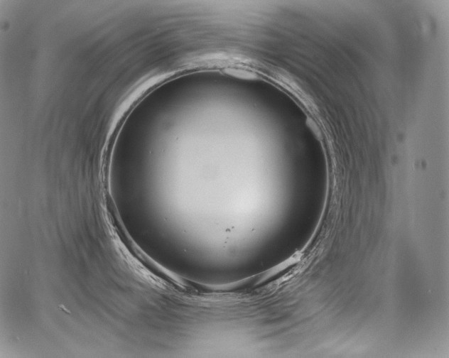 X0000068261392200604211033