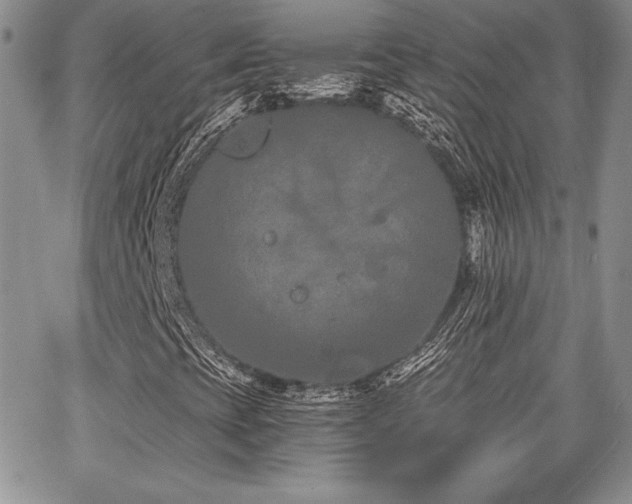 X0000068261393200604211032