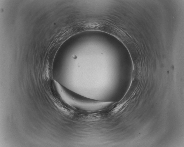 X0000068261394200604211032