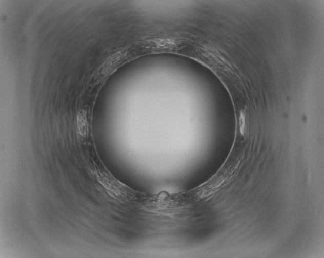 X0000068261395200604211032