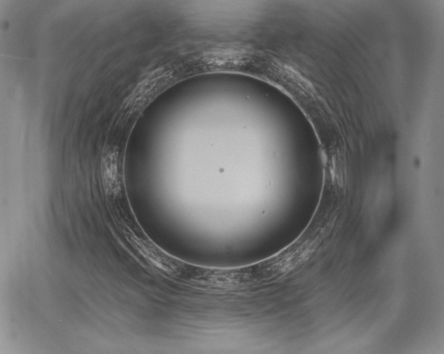 X0000068261396200604211032