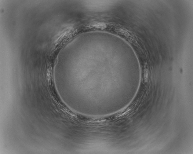 X0000068261397200604211032