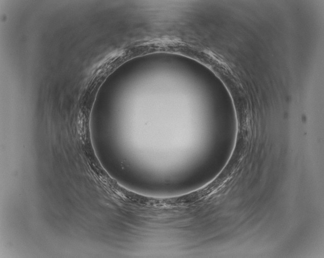 X0000068261398200604211032