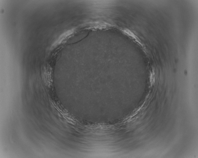 X0000068261399200604211032