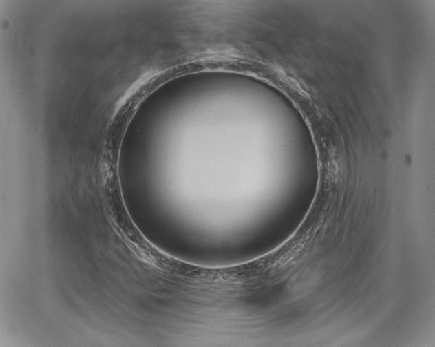 X0000068261400200604211032