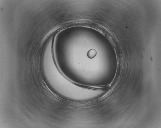 X0000068261402200604211033