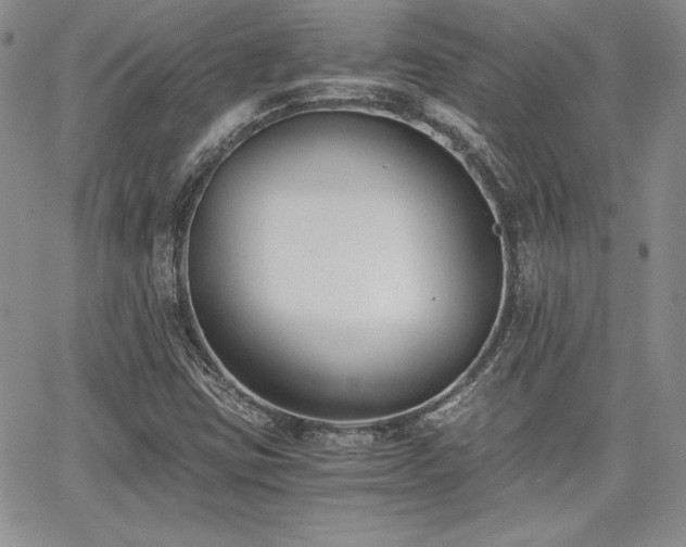 X0000068261403200604211033