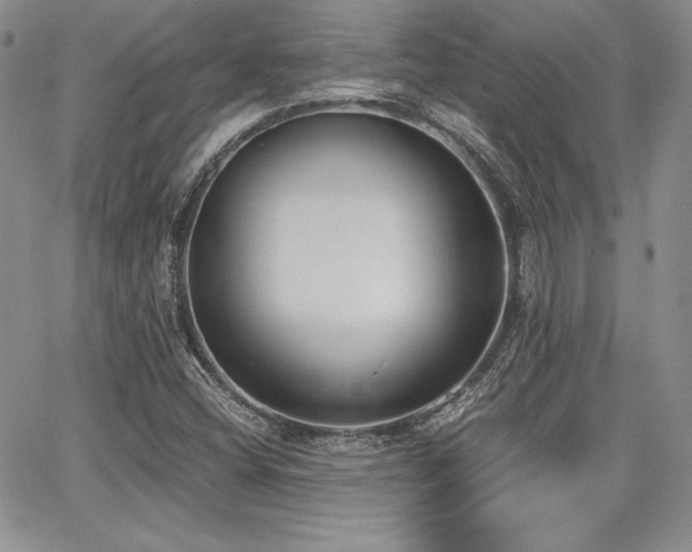 X0000068261404200604211033