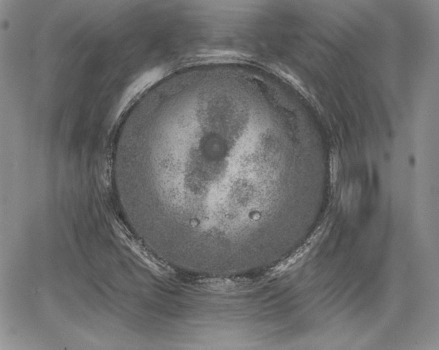 X0000068261405200604211033