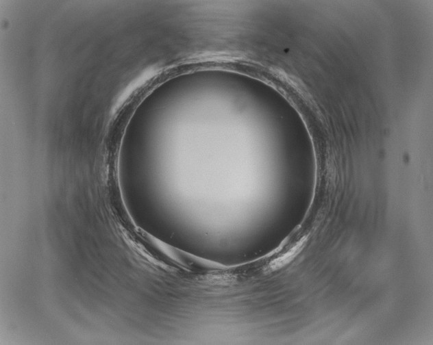 X0000068261406200604211033