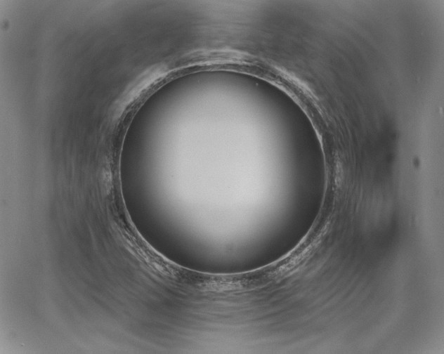 X0000068261407200604211033