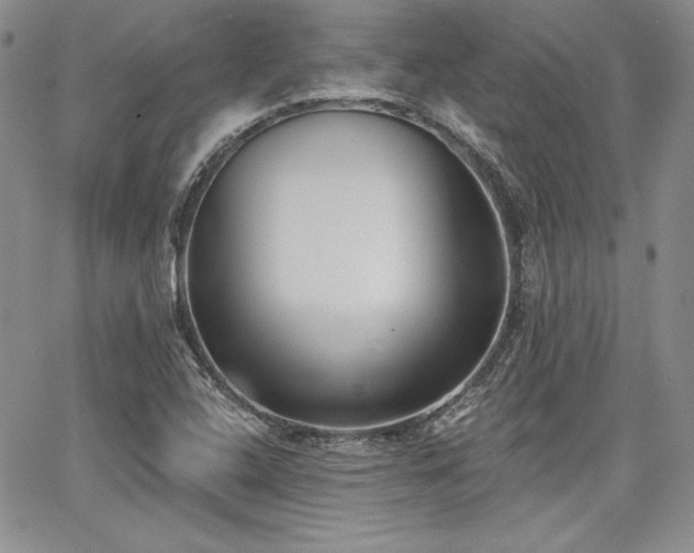 X0000068261408200604211033