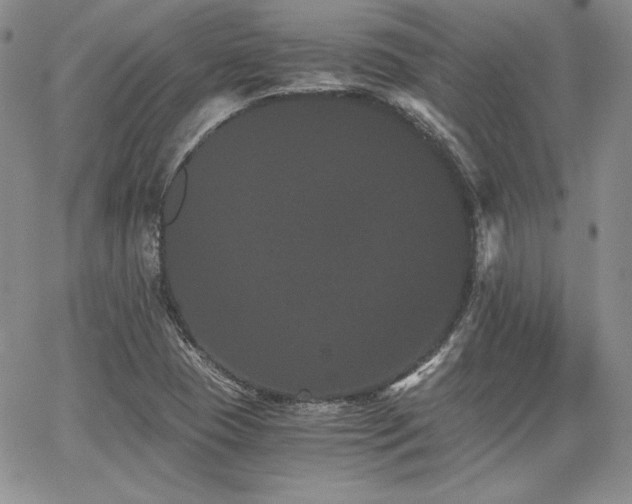 X0000068261409200604211033